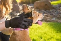 Merkloos Vachtverzorgingshandschoen 38 Merkloos Vachtverzorgingshandschoen -Huisdier Verkoop 1200x800 17