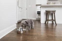 PetSafe® Seaside Stainless Steel Pet Fountain - RVS Drinkfontein Voor Katten En Kleine Honden - Water Borrelt Zacht Over De Toren - Door Het Design Van Alle Kanten Bereikbaar - 1,8 Liter - PetSafe Seaside -Huisdier Verkoop 1200x800 190