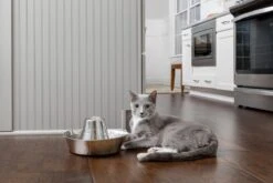 PetSafe® Seaside Stainless Steel Pet Fountain - RVS Drinkfontein Voor Katten En Kleine Honden - Water Borrelt Zacht Over De Toren - Door Het Design Van Alle Kanten Bereikbaar - 1,8 Liter - PetSafe Seaside -Huisdier Verkoop 1200x800 191