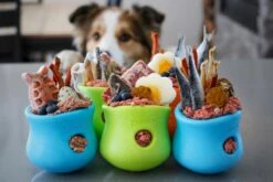 West Paw Toppl Zogoflex - Uitdagend En Sterk Speelgoed Voor Honden - Slowfeeder - Vulbaar Met Voer Of Snacks - Kleur: Groen, Maat: Large 25 West Paw Toppl Zogoflex - Uitdagend En Sterk Speelgoed Voor Honden - Slowfeeder - Vulbaar Met Voer Of Snacks - Kleur: Groen, Maat: Large -Huisdier Verkoop 1200x800