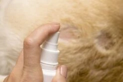 Petoxil Pet Spray Met Colloïdaal Zilver Is Speciaal Ontworpen Voor Gebruik Op Alle (huis) Dierensoorten. Revolutionair In Hygiëne 9 Petoxil Pet Spray Met Colloïdaal Zilver Is Speciaal Ontworpen Voor Gebruik Op Alle (huis) Dierensoorten. Revolutionair In Hygiëne -Huisdier Verkoop 1200x800 27
