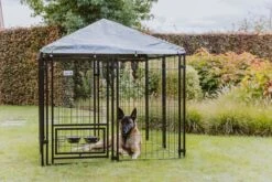 MaxxPet Hondenkennel - Hondenkennel Met Afneembaar Dak - Geschikt Voor Buiten En Binnen - 142 X 142 X 153 Cm -Huisdier Verkoop 1200x800 41