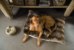 Designed By Lotte Mandira - Hondenvoerbak - Hout - 16,5 Cm -Huisdier Verkoop 1200x800 45