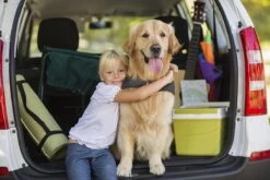 Thundershirt Antistress Vest - Dieren Antistressmiddel - Hond - Grijs - S - 43-53 Cm -Huisdier Verkoop 1200x800 60