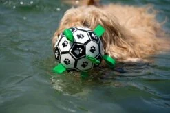 Honden Speelgoed Bal Voetbal Extra Sterk Met Handvaten Ball Hondenbal - 15 Cm - Dutchwide -Huisdier Verkoop 1200x800 65