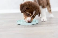 Trixie Junior Likplaat Mintgroen (15X15 CM) 19 Trixie Junior Likplaat Mintgroen (15X15 CM) -Huisdier Verkoop 1200x800 81