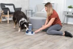 Trixie Dog Activity Gambling Tower - 27X25 CM 28 Trixie Dog Activity Gambling Tower - 27X25 CM -Huisdier Verkoop 1200x800 97