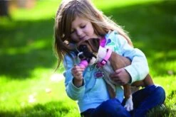 Kong Puppy - Hondenspeelgoed - Assorti - L -Huisdier Verkoop 1200x801 4