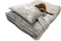 Orthopedisch Hondenkussen Grijs - Hondenmand Ribstof Premium L - Luxe Hondenbed 100x70cm - Grijs Tot 40 KG 17 Orthopedisch Hondenkussen Grijs - Hondenmand Ribstof Premium L - Luxe Hondenbed 100x70cm - Grijs Tot 40 KG -Huisdier Verkoop 1200x806 8