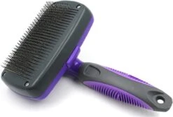 Buxibo Ondervacht Borstel Voor Hond En Kat - Kliksysteem Hondenborstel - Kattenkam - Hondenkam Voor Ondervacht - Klittenkam Voor Honden En Katten - Verwijderd Klitten 21 Buxibo Ondervacht Borstel Voor Hond En Kat - Kliksysteem Hondenborstel - Kattenkam - Hondenkam Voor Ondervacht - Klittenkam Voor Honden En Katten - Verwijderd Klitten -Huisdier Verkoop 1200x809