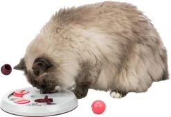 Trixie Cat Activity Flip Board Bes / Roze / Lichtgrijs 23x23 Cm 14 Trixie Cat Activity Flip Board Bes / Roze / Lichtgrijs 23x23 Cm -Huisdier Verkoop 1200x823 3