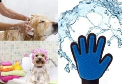 Vacht Verzorgingsborstel Voor Huisdieren - Blauw - LimitedDeals - Voor Honden Katten Konijnen Paarden - Tevens Massage Handschoen Voor Dieren! - Goed Voor De Verzorging Van De Vacht 13 Vacht Verzorgingsborstel Voor Huisdieren - Blauw - LimitedDeals - Voor Honden Katten Konijnen Paarden - Tevens Massage Handschoen Voor Dieren! - Goed Voor De Verzorging Van De Vacht -Huisdier Verkoop 1200x825
