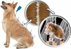 Beaphar DImetHIcare Anti Vlooien En Teken Spray 250 Ml -Huisdier Verkoop 1200x831 1