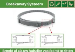 Vlooienband Voor Katten - Creme - 100% Natuurlijk - Zonder Giftige Pesticiden - Vlooien En Teken - Geurhalsband -Huisdier Verkoop 1200x836 6