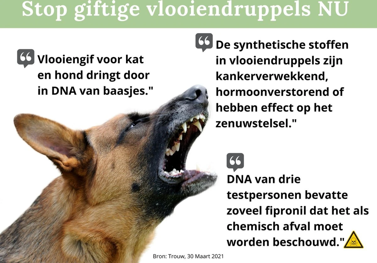 100% Natuurlijke Vlooiendruppels - Voor Grotere Honden - Van 30-40 Kg - Vlooien - Made In Holland - Zonder Schadelijke Pesticiden - Vachtdruppels 8 100% Natuurlijke Vlooiendruppels - Voor Grotere Honden - Van 30-40 Kg - Vlooien - Made In Holland - Zonder Schadelijke Pesticiden - Vachtdruppels - Afbeelding 6