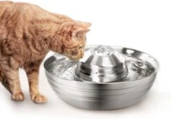 Moowi – RVS Drinkfontein Voor Kat En Hond - Fluisterstil - Incl. 3 Filters - Vaatwasserbestendig - Drinkbak Hond - USB Stekker