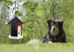 Merkloos Anti Blaffen Dier Vriendelijk Apparaat Huis Vorm Hond Blaffen Controle Training Apparaten Ultrasone Hond Blaffen Afschrikmiddel Stop Hond Blaffen Apparaat Tot 50 Ft