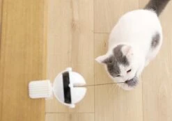 Merkloos Kattenhengel - Elektrisch Kattenspeelgoed - Kattenspeeltjes - Automatische Hengel - Kitten Speelgoed - Interactief Kattenspeelgoed - Bal - Katten - Poesjes - Kitten - Kat - Kattenbal - Kattenspeeltjes Intelligentie -Huisdier Verkoop 1200x845 3
