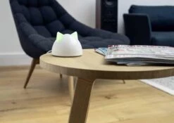 Sureflap Connect HUB -Huisdier Verkoop 1200x848 3