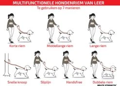 Multifunctionele Hondenriem - 220cm - Bruin - Leren Hondenriem - 100% Volnerfleer - Hondenriem Leer - Leiband Hond -Huisdier Verkoop 1200x853