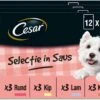 Cesar Selectie In Saus Maaltijdzakjes Honden Natvoer - Vlees En Groenten In Saus - 48 X 100 Gr -Huisdier Verkoop 1200x861 1