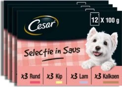 Cesar Selectie In Saus Maaltijdzakjes Honden Natvoer - Vlees En Groenten In Saus - 48 X 100 Gr