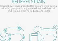 Navaris Houder Voor Dubbele Voerbak - In Hoogte Verstelbaar Voederstation Van Hout En Metaal - Inclusief 2 Roestvrijstalen Bakken - Voor Honden -Huisdier Verkoop 1200x861