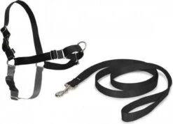 Petsafe Easy Walk® Deluxe Harness - Hondentuigje - Blauw - M - 1,8 M -Huisdier Verkoop 1200x863 5