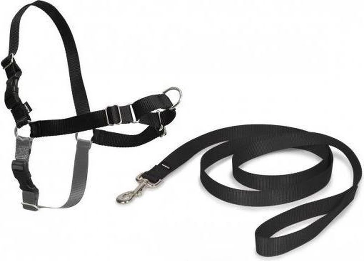 PetSafe Easy Walk® Deluxe Harness - Hondentuig - Blauw - L -1,8 M 16 PetSafe Easy Walk® Deluxe Harness - Hondentuig - Blauw - L -1,8 M - Afbeelding 14