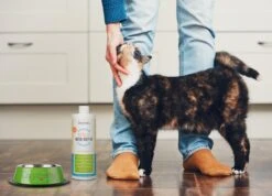 OxyFresh Pet Mondwater Hond En Kat. Helpt Tegen Tandsteen, Plak En Vieze Ademgeurtjes 9 OxyFresh Pet Mondwater Hond En Kat. Helpt Tegen Tandsteen, Plak En Vieze Ademgeurtjes -Huisdier Verkoop 1200x864