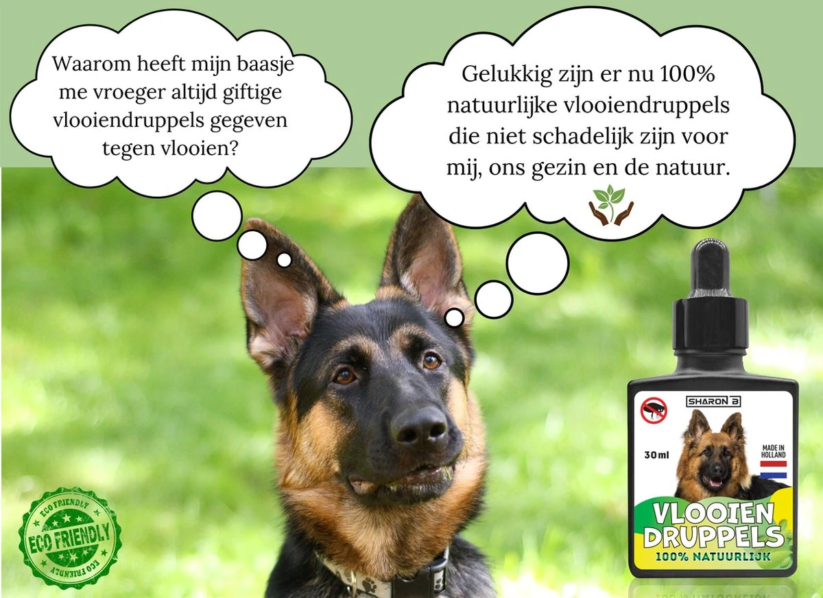 100% Natuurlijke Vlooiendruppels - Voor Grotere Honden - Van 30-40 Kg - Vlooien - Made In Holland - Zonder Schadelijke Pesticiden - Vachtdruppels 4 100% Natuurlijke Vlooiendruppels - Voor Grotere Honden - Van 30-40 Kg - Vlooien - Made In Holland - Zonder Schadelijke Pesticiden - Vachtdruppels - Afbeelding 2