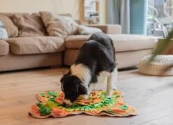 SNUFFIES® Snuffelmat Belle 60x50cm – Snuffelmat – Snuffelmatten - Honden Speelgoed - Honden Speelgoed Intelligentie - Snuffelmat Hond - Snuffelmatten – Hersenwerk – Honden Speeltjes – Puppy - Puppy Speelgoed - Honden Denkspelletjes 18 SNUFFIES® Snuffelmat Belle 60x50cm – Snuffelmat – Snuffelmatten - Honden Speelgoed - Honden Speelgoed Intelligentie - Snuffelmat Hond - Snuffelmatten – Hersenwerk – Honden Speeltjes – Puppy - Puppy Speelgoed - Honden Denkspelletjes -Huisdier Verkoop 1200x872 12