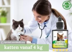 Natuurlijke Vlooiendruppels Voor Katten - Vanaf 4 Kg - 100% Natuurlijk - Vlooien - Zonder Giftige Pesticiden - 30 Ml - Speciale Formule Voor Katten - Vachtdruppels - Made In Holland 9 Natuurlijke Vlooiendruppels Voor Katten - Vanaf 4 Kg - 100% Natuurlijk - Vlooien - Zonder Giftige Pesticiden - 30 Ml - Speciale Formule Voor Katten - Vachtdruppels - Made In Holland -Huisdier Verkoop 1200x872 15