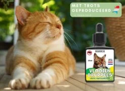 Natuurlijke Vlooiendruppels Voor Katten - Vanaf 4 Kg - 100% Natuurlijk - Vlooien - Zonder Giftige Pesticiden - 30 Ml - Speciale Formule Voor Katten - Vachtdruppels - Made In Holland 12 Natuurlijke Vlooiendruppels Voor Katten - Vanaf 4 Kg - 100% Natuurlijk - Vlooien - Zonder Giftige Pesticiden - 30 Ml - Speciale Formule Voor Katten - Vachtdruppels - Made In Holland -Huisdier Verkoop 1200x872 17