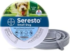 Seresto Vlooien En Tekenband - Kleine Hond - 0 Tot 8 Kg 24 Seresto Vlooien En Tekenband - Kleine Hond - 0 Tot 8 Kg -Huisdier Verkoop 1200x878 2