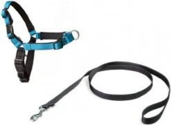 Petsafe Easy Walk® Deluxe Harness - Hondentuigje - Blauw - M - 1,8 M -Huisdier Verkoop 1200x880 5