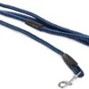 Merkloos Slipriem - Nylon - Riem Voor Hond - Blauw 1 Merkloos Slipriem - Nylon - Riem Voor Hond - Blauw -Huisdier Verkoop 1200x884 1