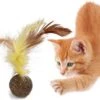 Merkloos EPIN | Kattenkruid Balletje Met Veer | Leuk & Lekker Kattenspeelgoed | Speelgoed Voor Katten 2 Merkloos EPIN | Kattenkruid Balletje Met Veer | Leuk & Lekker Kattenspeelgoed | Speelgoed Voor Katten -Huisdier Verkoop 1200x884 8