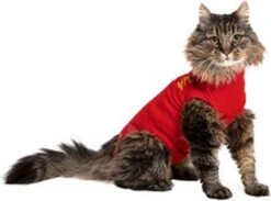 Medical Pet Shirt Kat - Rood - XXS -Huisdier Verkoop 1200x888 1
