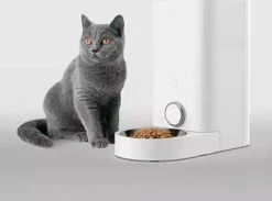 PETKIT® Element Pro - Voerautomaat - Automatische Voerbak Kat - Vershoudend - Met App -Huisdier Verkoop 1200x888