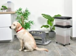 Iris Ohyama Air Tight Food Container Set Van 2 - ATS-C - Kunststof - 20 En 45 Liter - Transparant/Grijs - Met Schepje -Huisdier Verkoop 1200x891 1