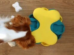 Nina Ottosson Dog Tornado Blu 23 Nina Ottosson Dog Tornado Blu -Huisdier Verkoop 1200x895 6