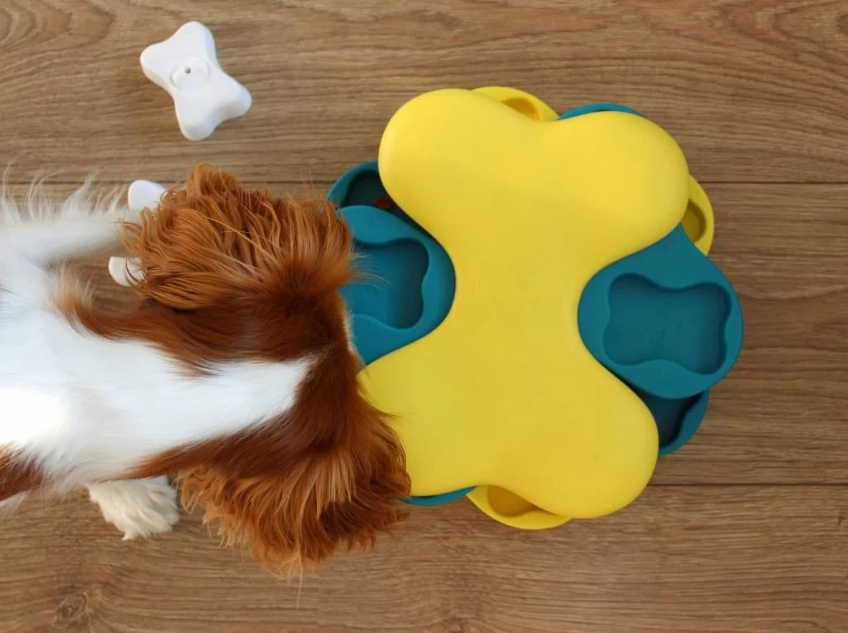 Nina Ottosson Dog Tornado Blu 11 Nina Ottosson Dog Tornado Blu - Afbeelding 9