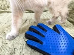 Vacht Verzorgingsborstel Voor Huisdieren - Blauw - LimitedDeals - Voor Honden Katten Konijnen Paarden - Tevens Massage Handschoen Voor Dieren! - Goed Voor De Verzorging Van De Vacht 19 Vacht Verzorgingsborstel Voor Huisdieren - Blauw - LimitedDeals - Voor Honden Katten Konijnen Paarden - Tevens Massage Handschoen Voor Dieren! - Goed Voor De Verzorging Van De Vacht -Huisdier Verkoop 1200x897 2