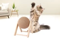 Janse Katten Krab Bal - Katten Speelgoed - Krabmeubel - Kattenkrabpaal - Krabplank - Krabbal - Kattenspeeltje - Krabbol - Inclusief Kattenkruid 9 Janse Katten Krab Bal - Katten Speelgoed - Krabmeubel - Kattenkrabpaal - Krabplank - Krabbal - Kattenspeeltje - Krabbol - Inclusief Kattenkruid -Huisdier Verkoop 1200x898 10