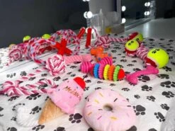 Honden Speelgoed - Puppy Speelgoed - 11 Stuks - Roze - 1 Speeltje Gratis - Honden Knuffel - Trektouw - Honden Speeltjes -Huisdier Verkoop 1200x898 4