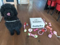 Honden Speelgoed - Puppy Speelgoed - 11 Stuks - Roze - 1 Speeltje Gratis - Honden Knuffel - Trektouw - Honden Speeltjes -Huisdier Verkoop 1200x899 13