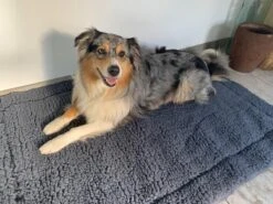 HuggleHounds - Wasbare Fleece Hondenmat Van Lamswol Voor Benches Of Als Los Kussen - In Naturel Of Grijs - S/M/L/XL/XXL - Grijs - S -Huisdier Verkoop 1200x899 20