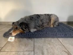 HuggleHounds - Wasbare Fleece Hondenmat Van Lamswol Voor Benches Of Als Los Kussen - In Naturel Of Grijs - S/M/L/XL/XXL - Grijs - S -Huisdier Verkoop 1200x900 40