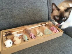 Make Life Beautiful® - Kattenspeeltjes Set - 7-delig - Kattenspeelgoed - Kattenhengel - Speelmuisjes - Kattenspeelgoed Set 17 Make Life Beautiful® - Kattenspeeltjes Set - 7-delig - Kattenspeelgoed - Kattenhengel - Speelmuisjes - Kattenspeelgoed Set -Huisdier Verkoop 1200x900 47